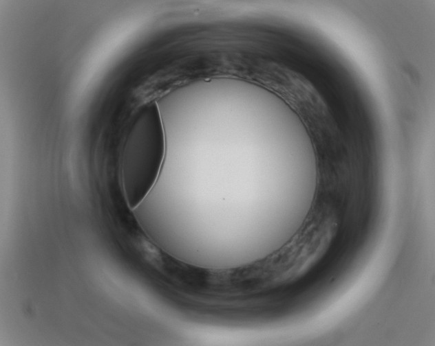 X0000114570766200910191033