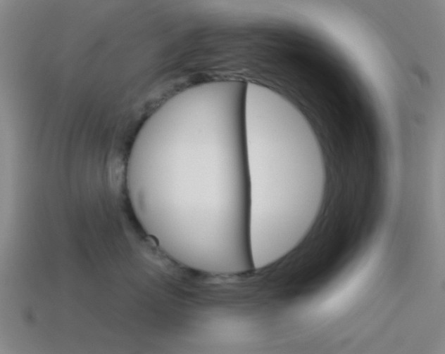 X0000114570767200910191033