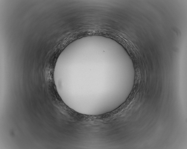 X0000114570770200910191033