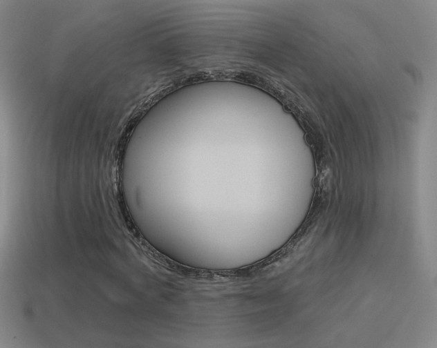 X0000114570772200910191033