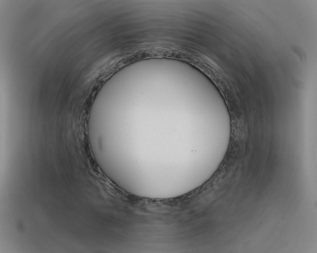 X0000114570774200910191033