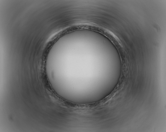 X0000114570775200910191033
