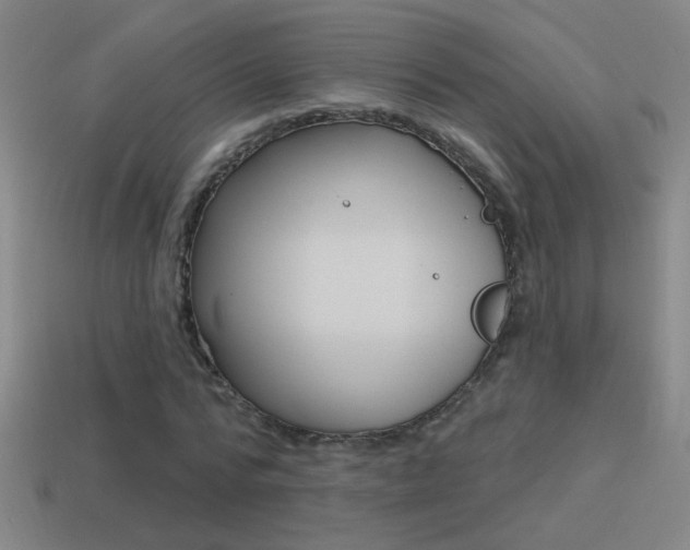 X0000114570776200910191033
