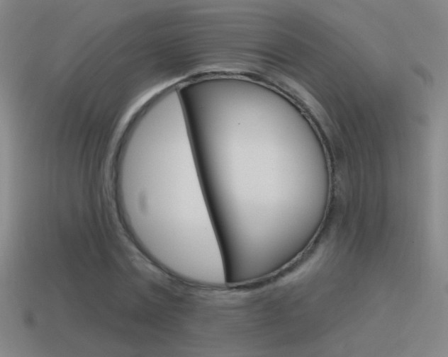 X0000114570779200910191032
