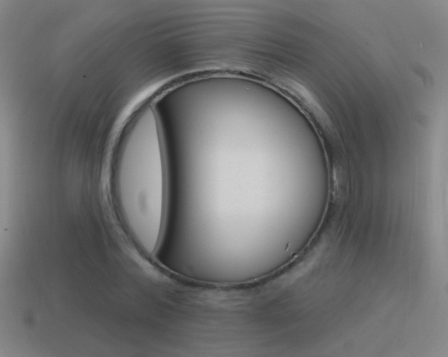X0000114570780200910191032