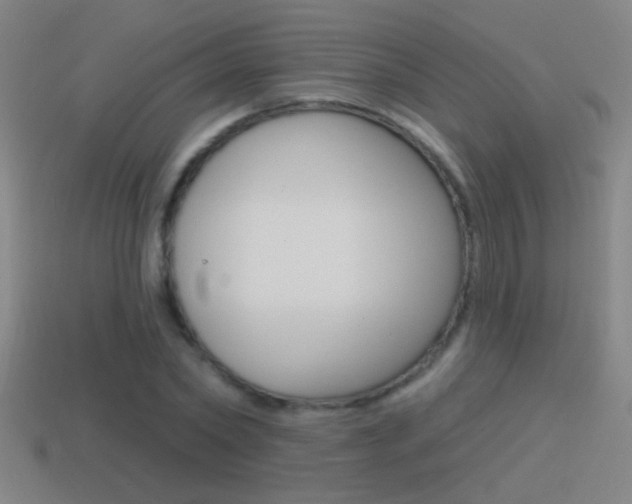 X0000114570782200910191032