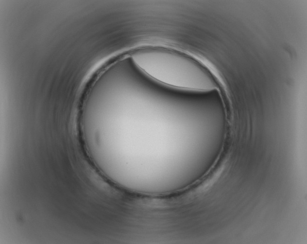 X0000114570783200910191032
