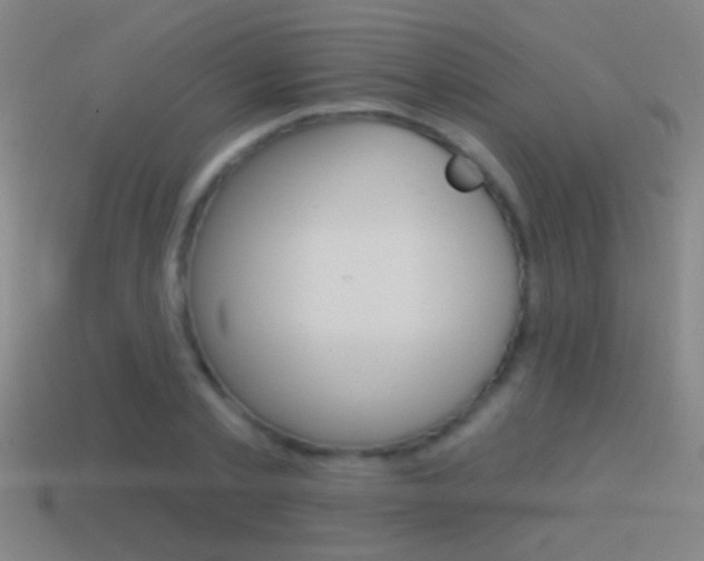X0000114570789200910191032
