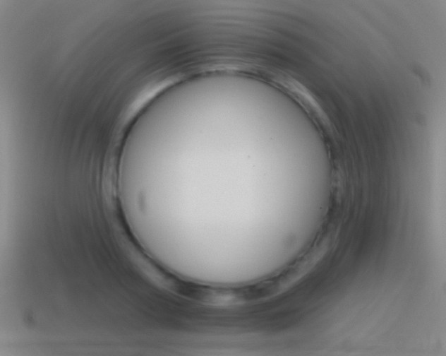 X0000114570794200910191032