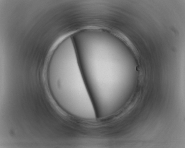 X0000114570795200910191032