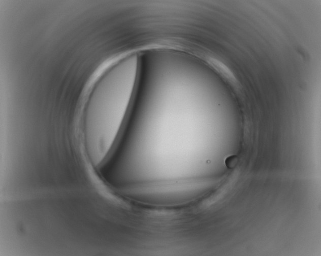 X0000114570800200910191032