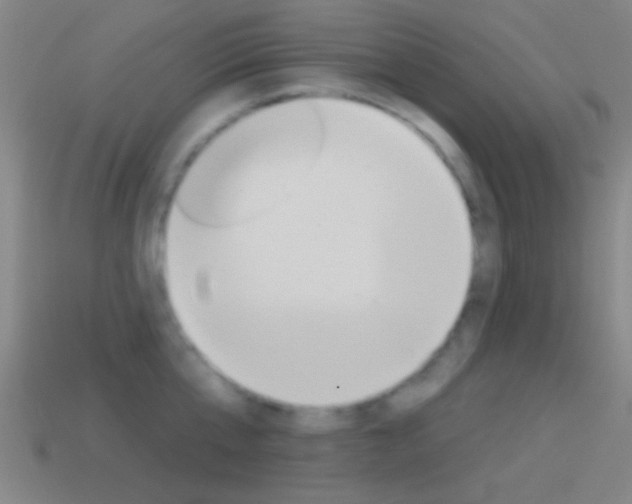 X0000114570807200910191032