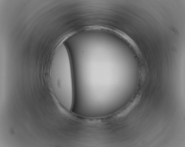 X0000114570809200910191032