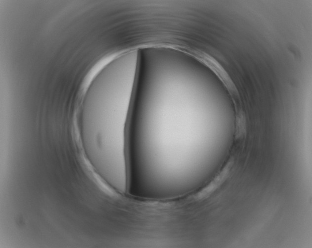 X0000114570812200910191032