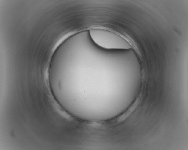 X0000114570814200910191032