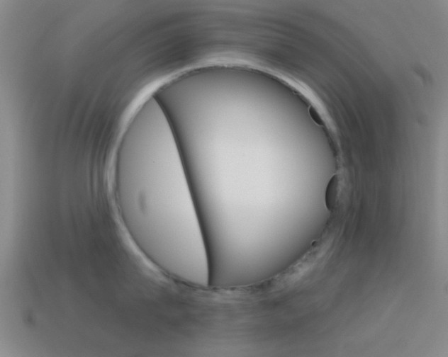 X0000114570815200910191032