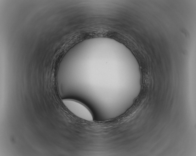 X0000114570818200910191031
