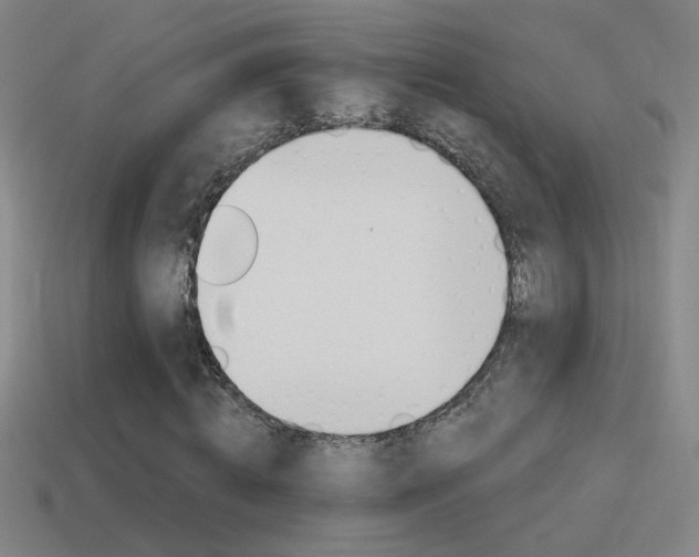 X0000114570820200910191031