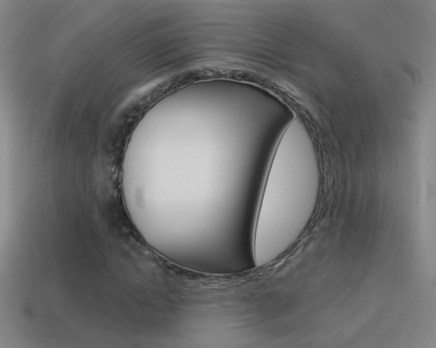 X0000114570822200910191031
