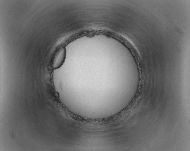 X0000114570823200910191031