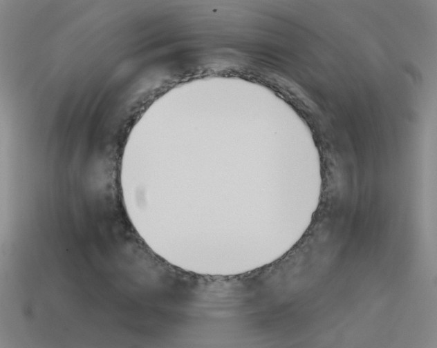 X0000114570824200910191031
