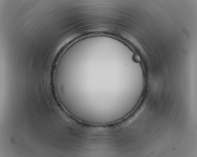 X0000114570826200910191031
