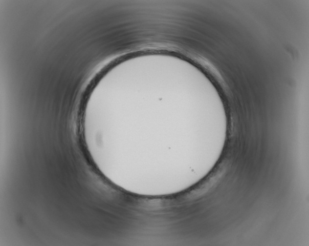 X0000114570828200910191031