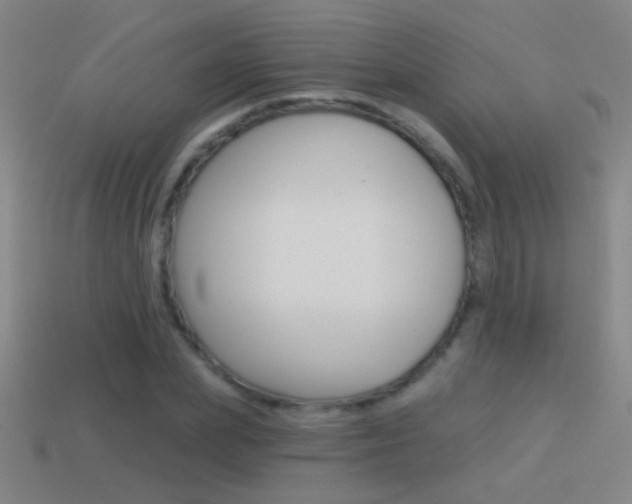 X0000114570831200910191031