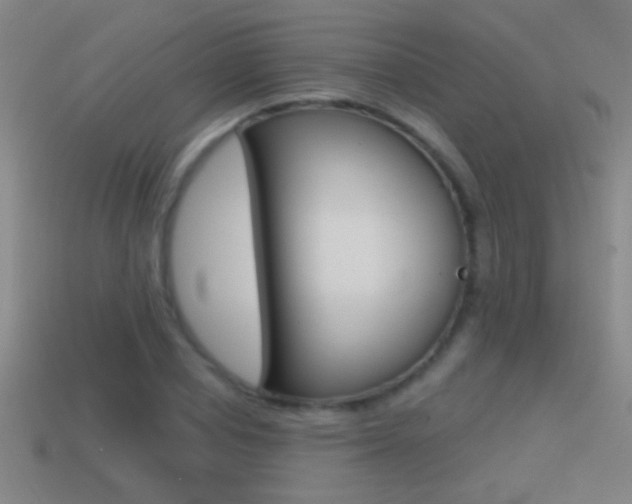 X0000114570834200910191032