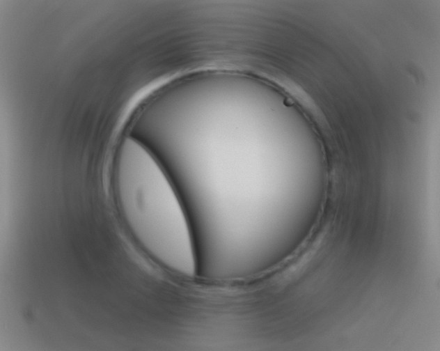 X0000114570838200910191032