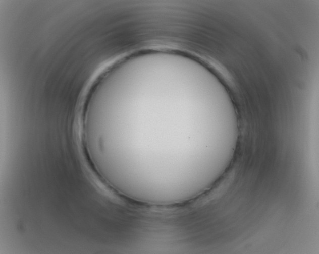 X0000114570840200910191032