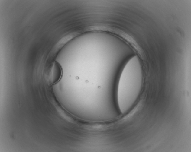 X0000114570841200910191032