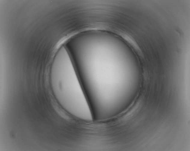 X0000114570842200910191032
