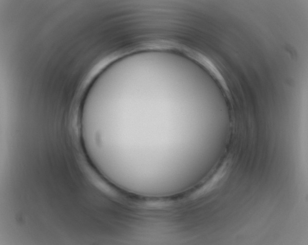 X0000114570843200910191032