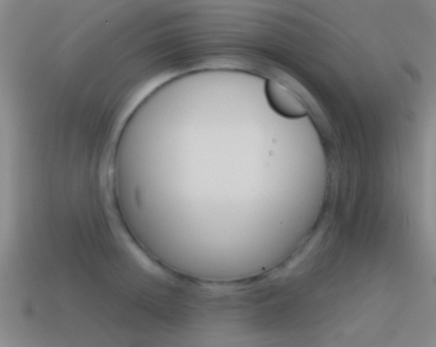 X0000114570852200910191032