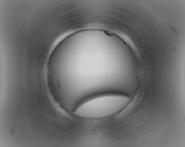 X0000114570854200910191032