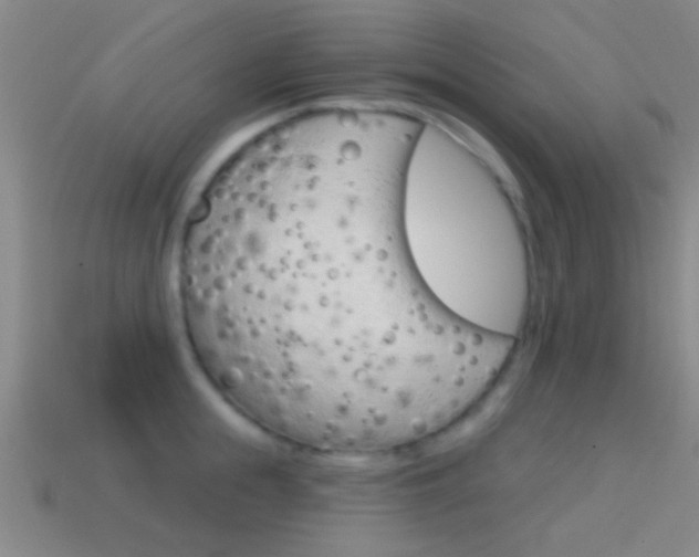 X0000114570855200910191032