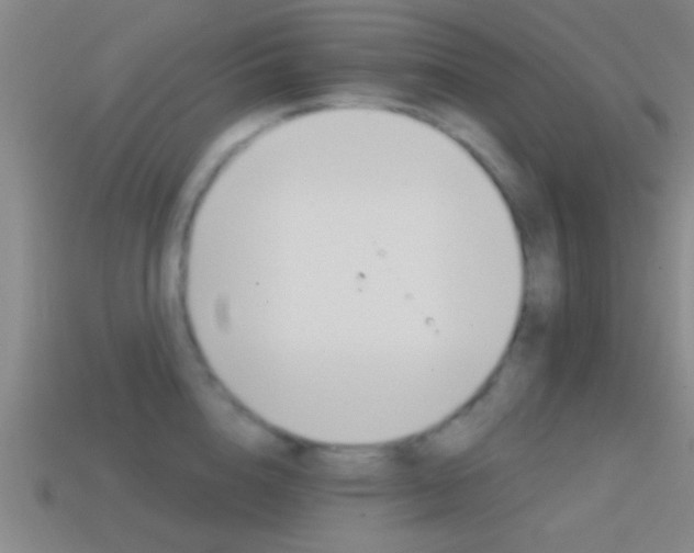X0000114570856200910191032