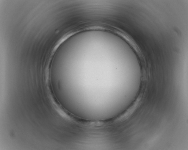 X0000114570858200910191032