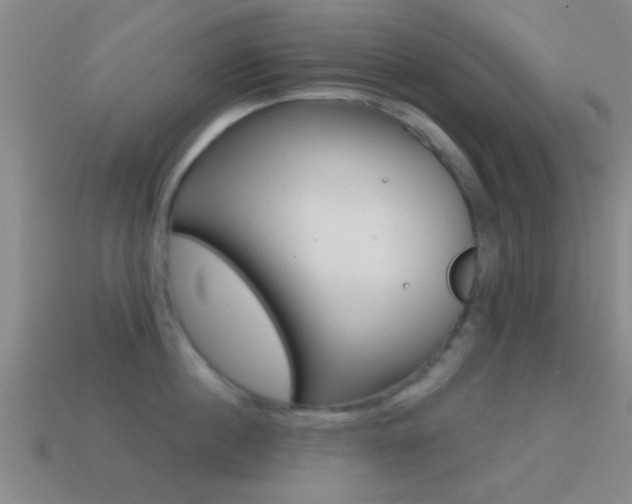 X0000114570860200910191032