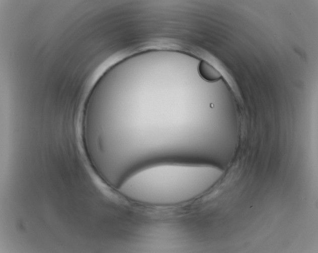 X0000114570861200910191032