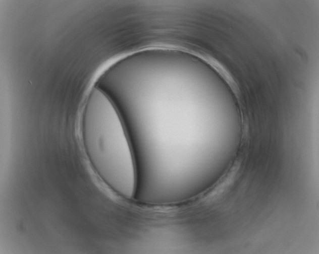 X0000114570862200910191032