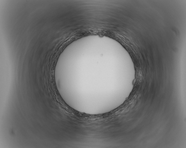 X0000114570865200910191031