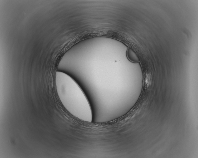 X0000114570867200910191031