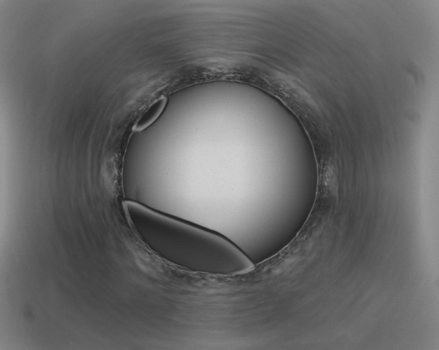 X0000114570868200910191031