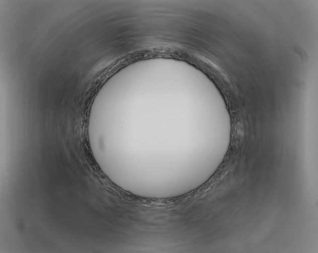 X0000114570869200910191031