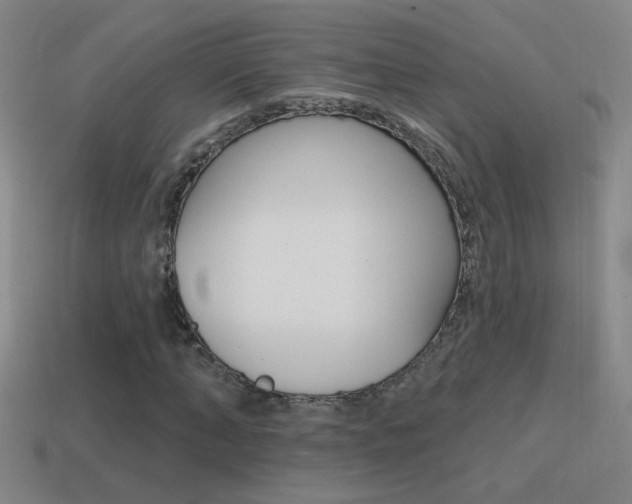 X0000114570870200910191031