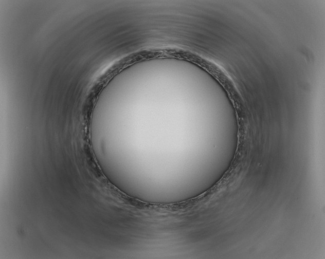 X0000114570871200910191031