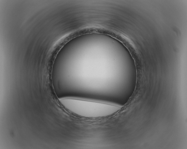 X0000114570872200910191031