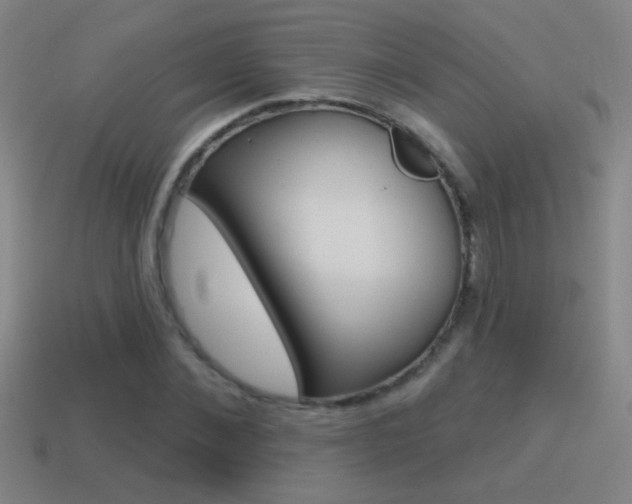 X0000114570876200910191031